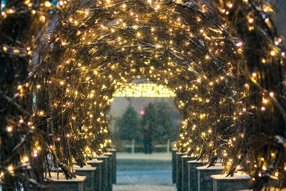 esplanade light installations in Detroit winter 2021